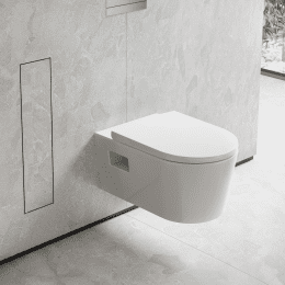 Hansgrohe XtraStoris Rock Unterputz-WC-Bürstenkasten mit Ablage, Stahl gebürstet