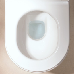 Hansgrohe EluPura Original S - WC-Kombination mit SoftClose-Sitz, Vario-Abgang, AquaChannel Flush, R