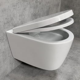 PREMIUM 100 WC-Sitz oval, abnehmbar, mit Absenkautomatik