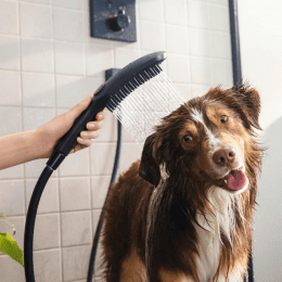 Hansgrohe DogShower Hundebrause mit 3 Strahlarten Select schwarz matt
