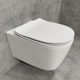 PREMIUM 100 WC-Sitz slim, oval, abnehmbar, mit Absenkautomatik