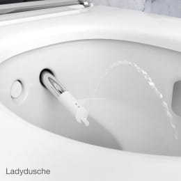 Geberit AquaClean Mera Classic Dusch-WC Komplettanlage weiß/chrom