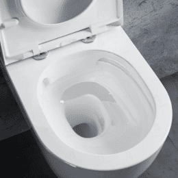 Treos Wand-Tiefspül-WC Weiß Glanz Serie 810 Oval spülrandlos 53cm
