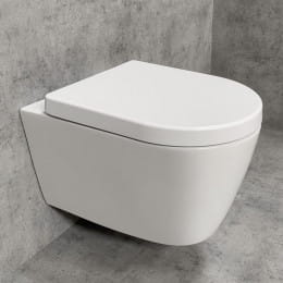 PREMIUM WC-Sitz oval, abnehmbar, mit Absenkautomatik