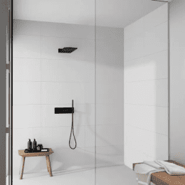 Steinberg 390 Kopfbrause, 60x25 cm, 2 Strahlarten, schwarz matt