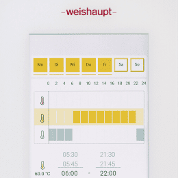 Weishaupt Gas-Brennwertgerät WTC-GW 32-C W (WEP-Regelung)