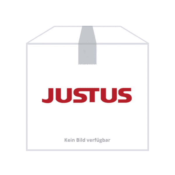 JUSTUS Kaminofen Justus Vegas Keramik grau