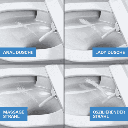 Grohe Sensia Dusch-WC Komplettanlage für Unterputzspülkästen, Rimless, Triple Vortex, HyperClean, Al