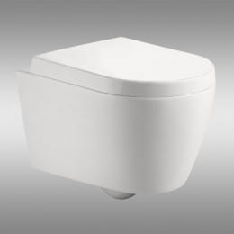 PREMIUM 100 WC-Sitz oval, abnehmbar, mit Absenkautomatik