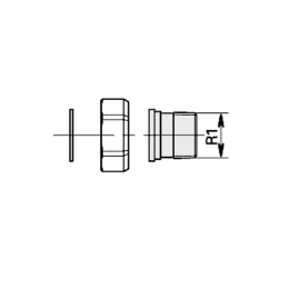Viessmann Gewindeverschraubung R 1 (2 Stück)